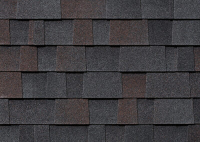 Malarkey Black Oak shingle color