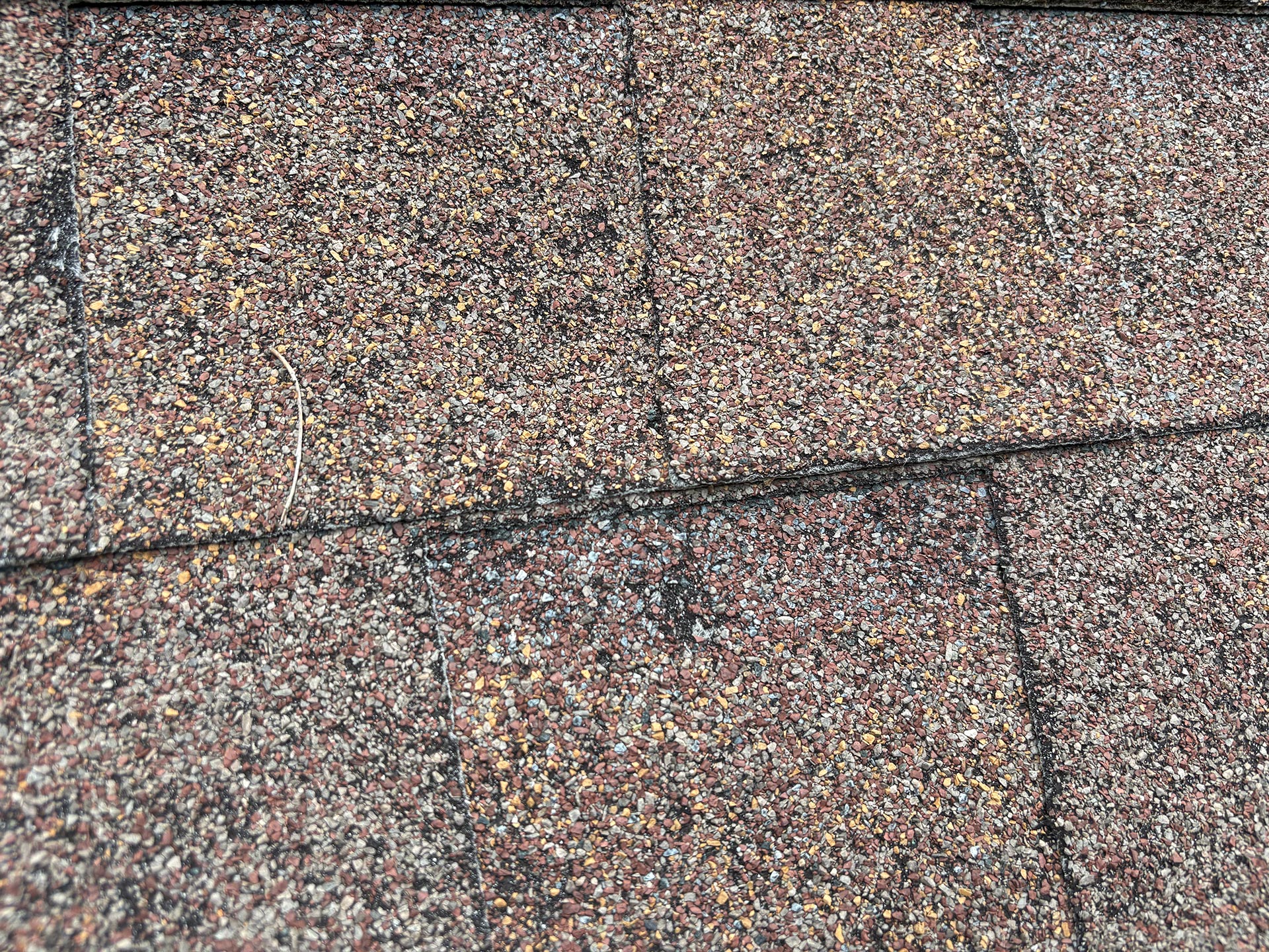 close up of shingles with hail damage