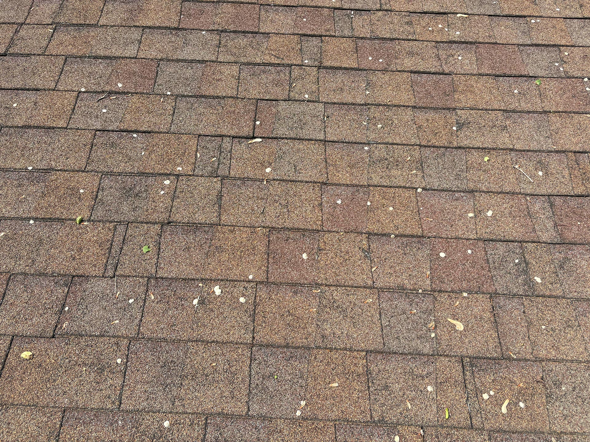 damaged shingles